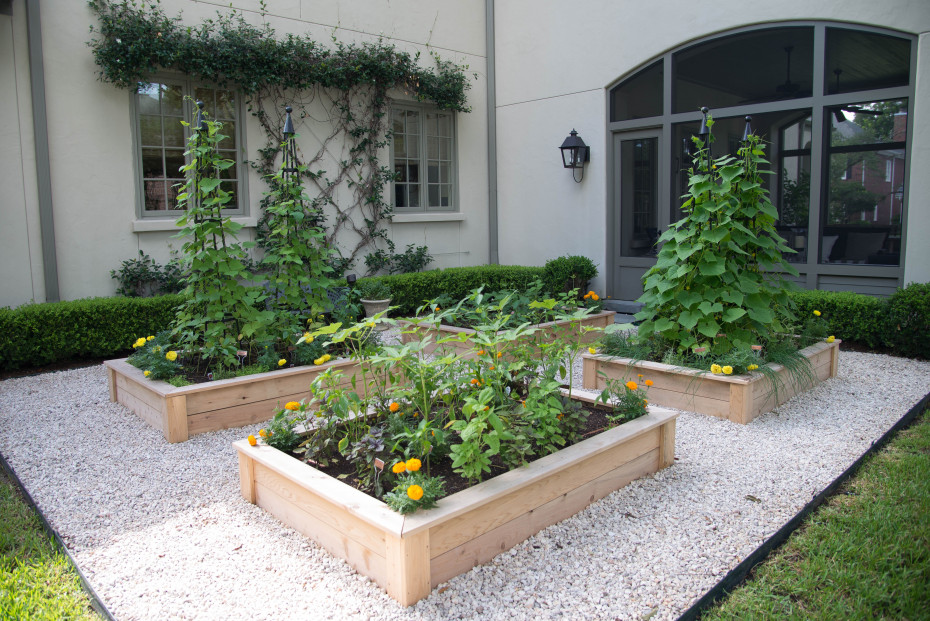 Raised Bed Gardening Tips For Beginners At Home